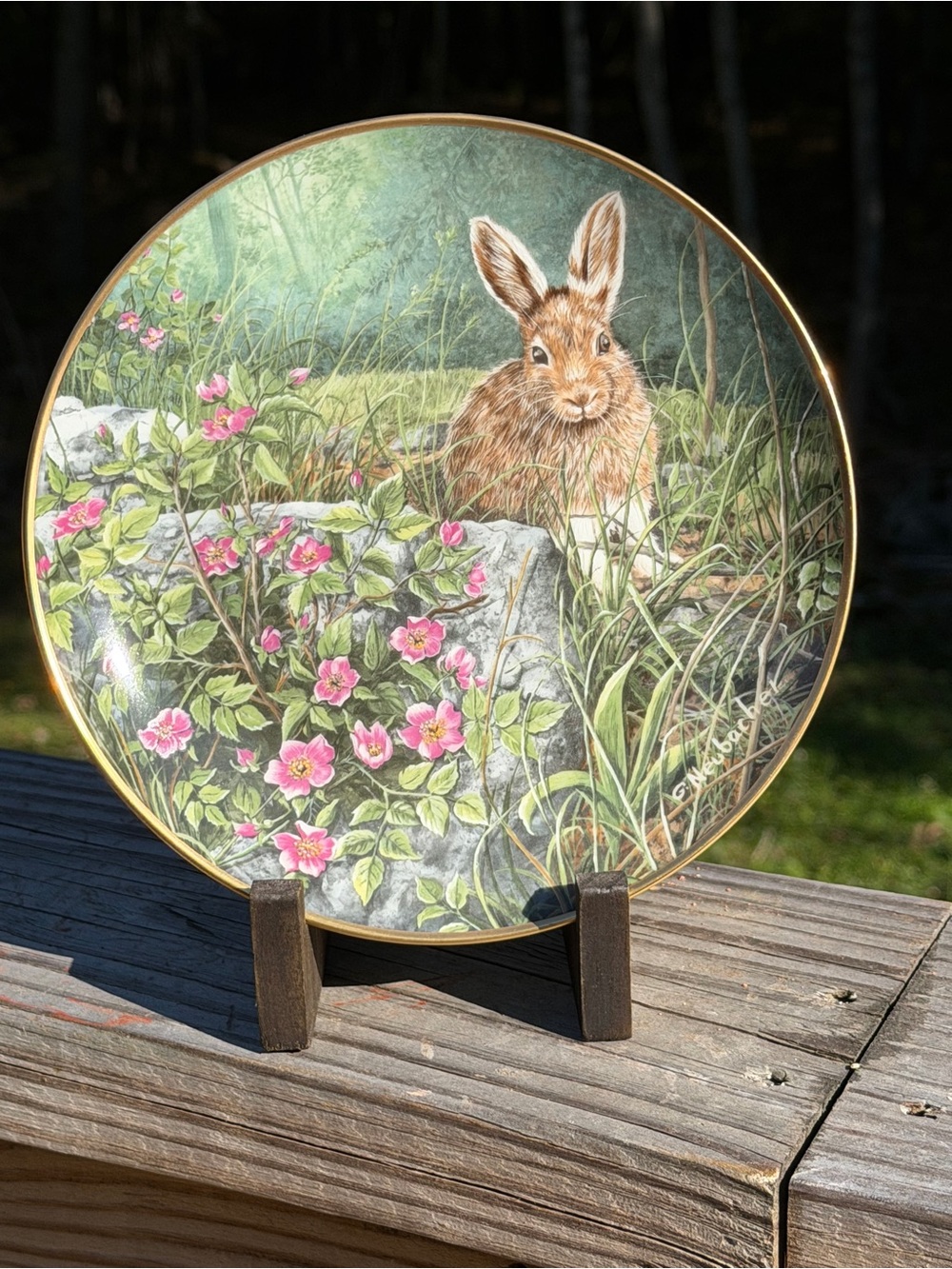 “Wild Roses” Collector Plate Decor | Bunny Rabbit | So Cute! - Picture 9 of 10